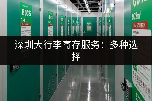 深圳大行李寄存服务：多种选择，价格实惠