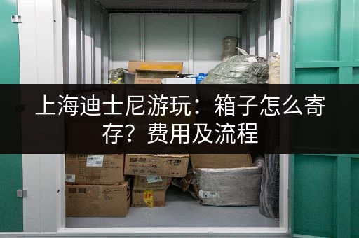 上海迪士尼游玩：箱子怎么寄存？费用及流程