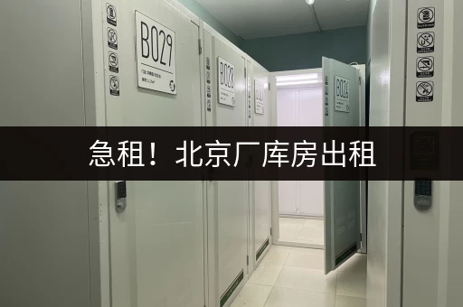 寻找上海小仓库出租网站？这些公司值得你关注！