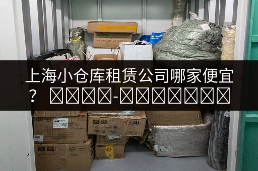 上海机场行李寄存攻略：价格、地点及预订方式详解