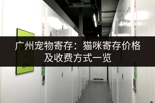 广州宠物寄存：猫咪寄存价格及收费方式一览