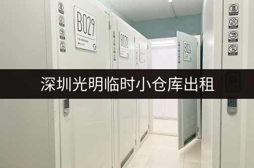 深圳光明临时小仓库出租，满足您短期仓储需求