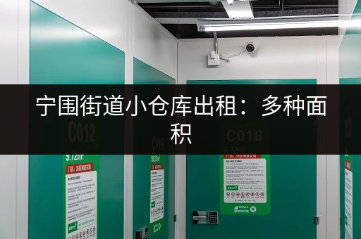 宁围街道小仓库出租：多种面积，交通便利，价格实惠