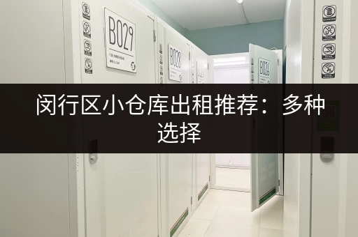 闵行区小仓库出租推荐：多种选择，满足您不同尺寸需求！