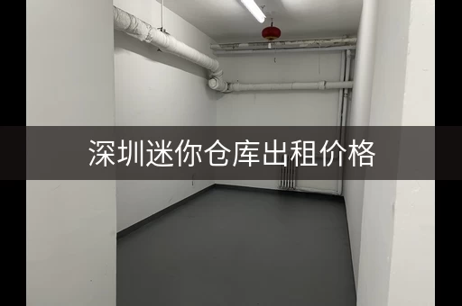 深圳迷你仓库出租价格，深圳坂田厂房出租