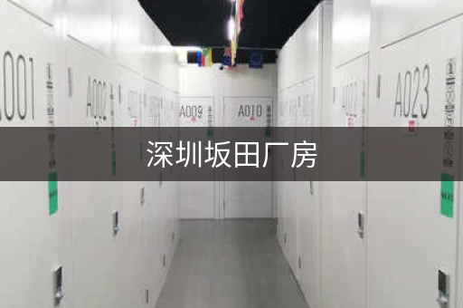 深圳坂田厂房，深圳坂田北小巷子