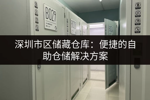 急需临时寄存东西？深圳靠谱的寄存点推荐指南