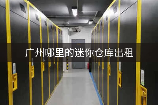 广州哪里的迷你仓库出租，广州番禺小型仓库出租