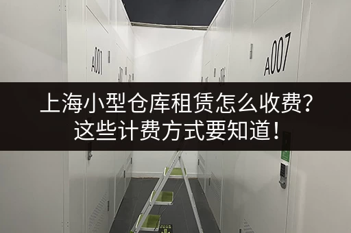 上海行李寄存拍：高效便捷的行李寄存服务，上海旅游新选择