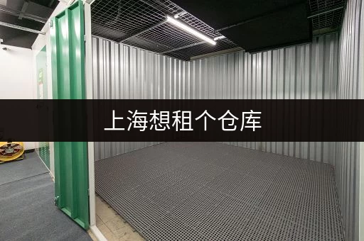 上海周边行李寄存车：解决您出行行李难题
