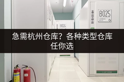 杭州迷你仓库拍卖公告：低价捡漏好机会！