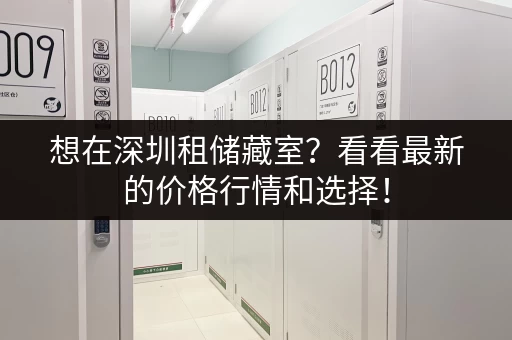 上海市自助小仓库出租价格查询：低价租赁，安全可靠，方便快捷！