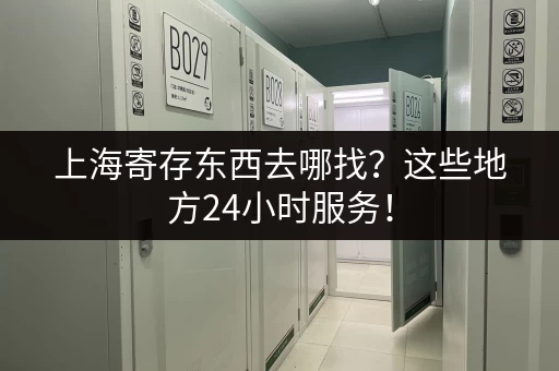 上海寄存狗狗多少钱一天？价格及服务详解