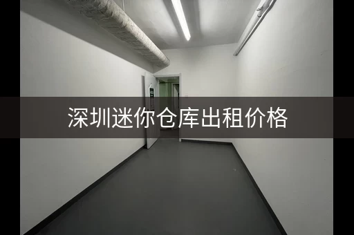 深圳迷你仓库出租价格，深圳龙岗小仓库出租