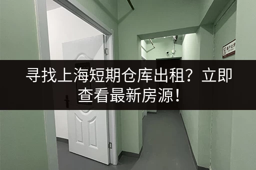 上海行李寄存通：解决出行行李难题，轻松游上海