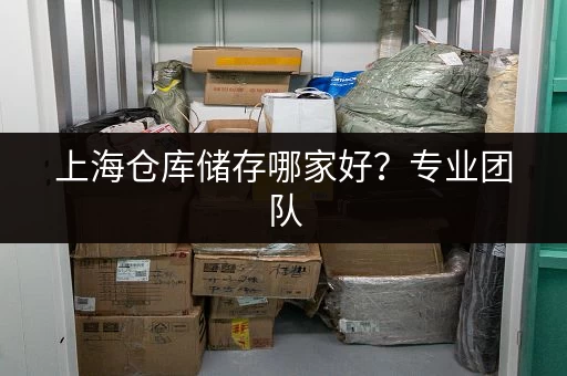 龙华区行李寄存自助仓推荐：价格实惠，安全可靠