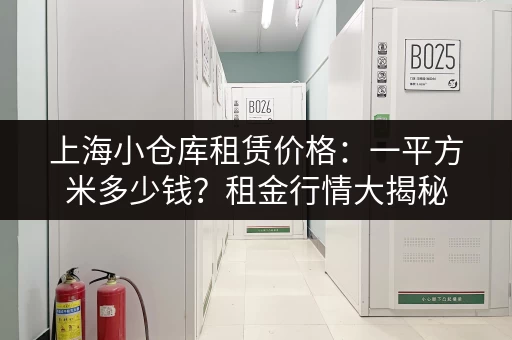 急需上海迷你仓出租？立即咨询，多种方案，量身定制！