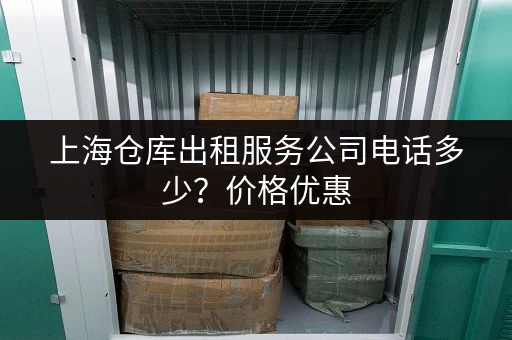 上海迷你仓小仓库出租：多种面积选择，满足您的储物需求