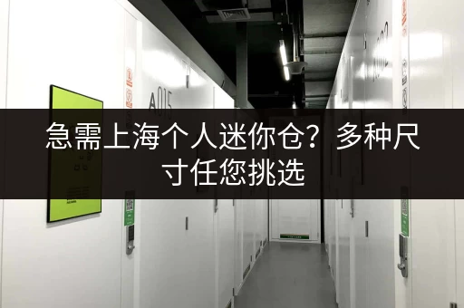 上海卢湾临时小仓库出租，电话预约看房，安全可靠！