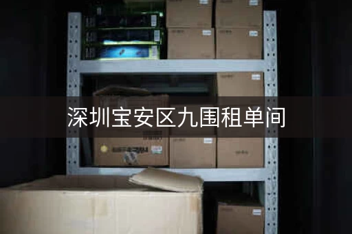 深圳宝安区租单间放东西？深圳九围小仓库出租信息网