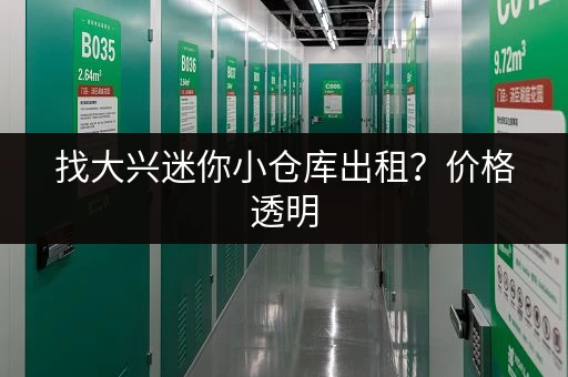 找大兴迷你小仓库出租？价格透明，服务周到！