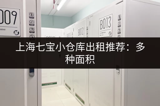 上海七宝小仓库出租推荐：多种面积，价格透明，随时看房！