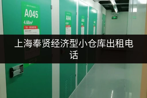 上海奉贤经济型小仓库出租电话，多种面积选择，价格实惠！