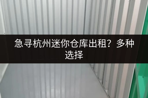 急寻杭州迷你仓库出租？多种选择，立即联系，快速解决您的仓储问题