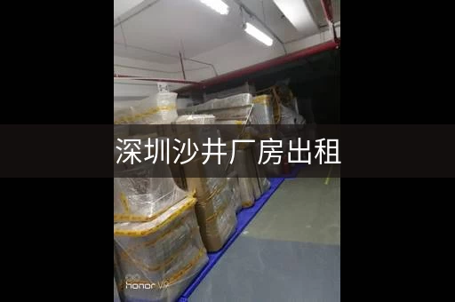 深圳沙井厂房出租，深圳沙井庄村小仓库出租价格