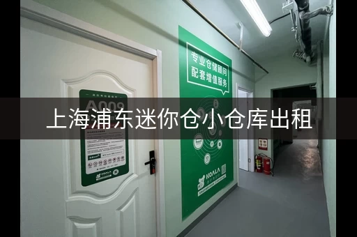 上海浦东迷你仓小仓库出租，上海浦东御桥小仓库出租电话