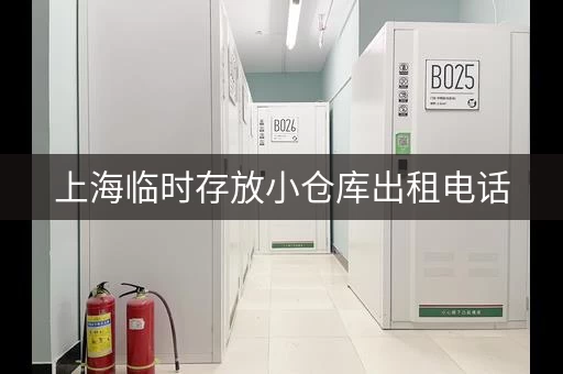 上海临时存放小仓库出租电话，上海短期仓库出租