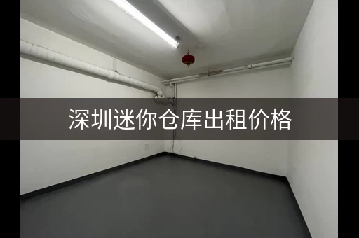 深圳迷你仓库出租价格，深圳自家小仓库出租
