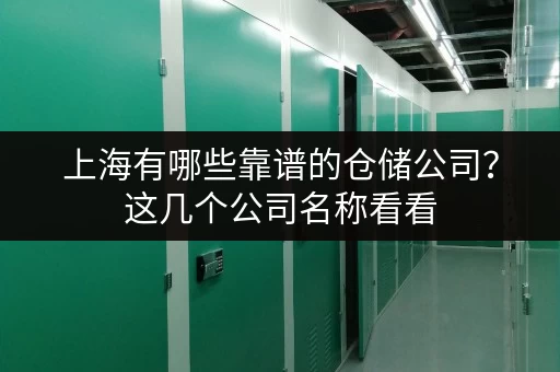 上海有哪些靠谱的仓储公司？这几个公司名称看看