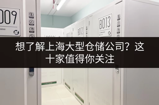 想了解上海大型仓储公司？这十家值得你关注