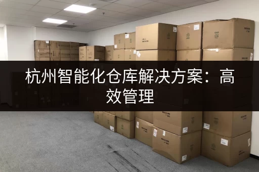 杭州智能化仓库解决方案：高效管理，安全存储