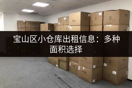 宝山区小仓库出租信息：多种面积选择，满足您的仓储需求