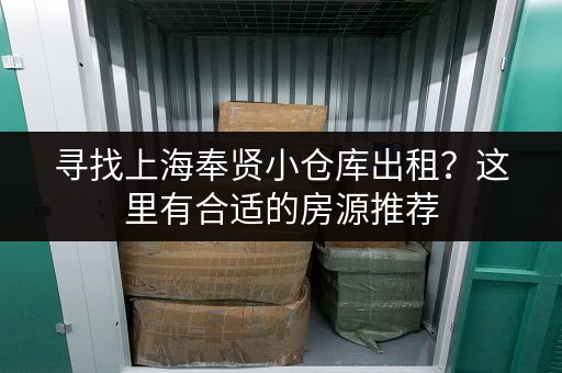 寻找上海奉贤小仓库出租？这里有合适的房源推荐