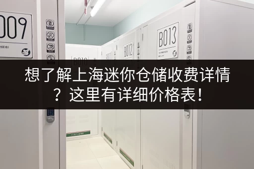 想了解上海迷你仓储收费详情？这里有详细价格表！