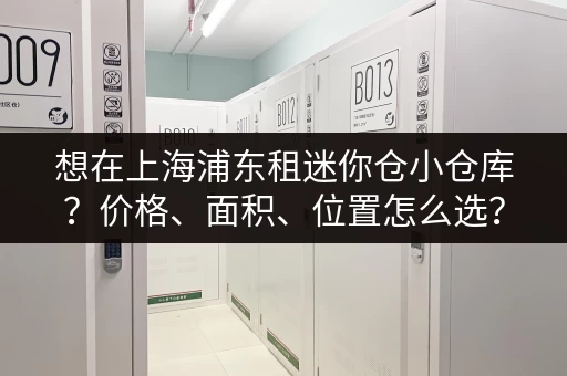 想在上海浦东租迷你仓小仓库？价格、面积、位置怎么选？