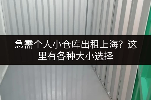 急需个人小仓库出租上海？这里有各种大小选择
