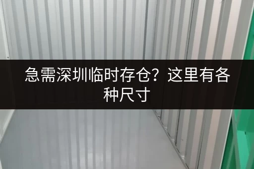 急需深圳临时存仓？这里有各种尺寸，满足你的需求！