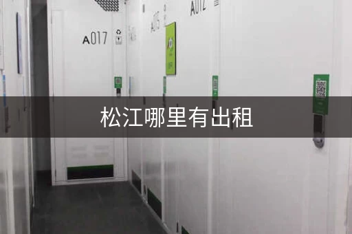 松江哪里有出租，松江小面积厂房出租信息