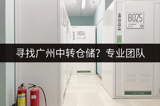 寻找广州中转仓储？专业团队，优质服务，解决您的物流难题！