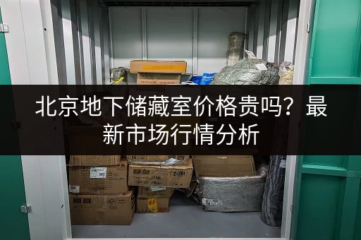 北京地下储藏室价格贵吗？最新市场行情分析