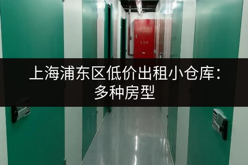 上海浦东区低价出租小仓库：多种房型，满足您的仓储需求