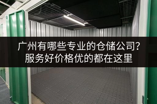广州有哪些专业的仓储公司？服务好价格优的都在这里