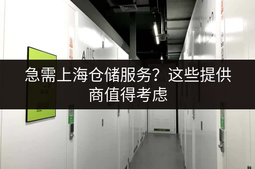 急需上海仓储服务？这些提供商值得考虑