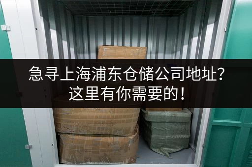 急寻上海浦东仓储公司地址？这里有你需要的！