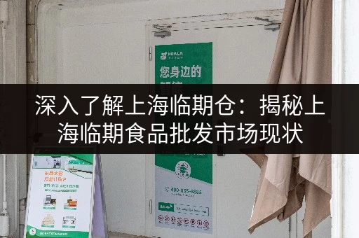 深入了解上海临期仓：揭秘上海临期食品批发市场现状