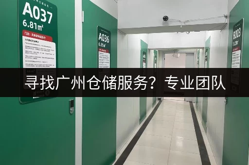 寻找广州仓储服务？专业团队，高效管理，助您轻松运营